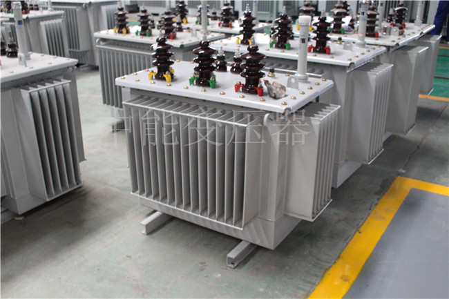 博尔塔拉S22-250KVA/10KV变压器